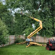 Red Bud, IL Tree Care Company